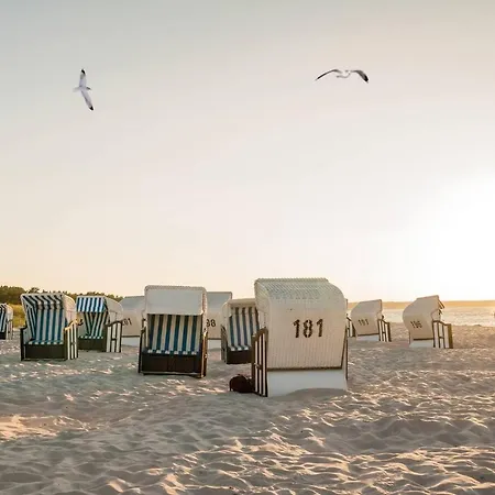 Apartment White Pearl 1.04 *