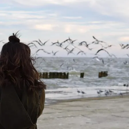 Apartment White Pearl 1.04 Timmendorfer Strand