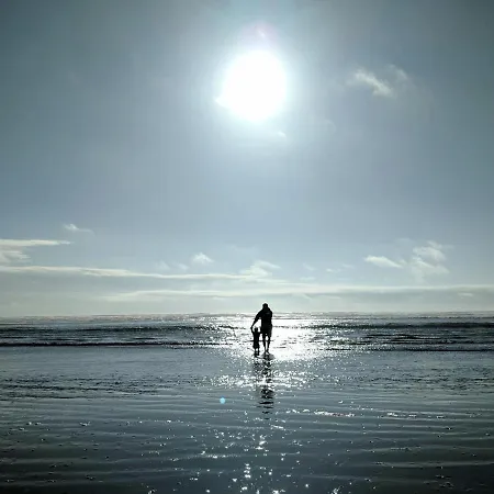 White Pearl 1.04 Apartment *